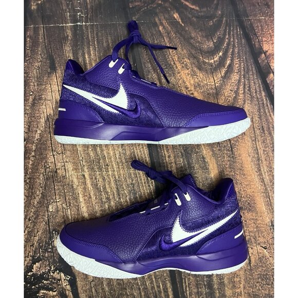 Men's Nike LeBron NXXT Gen PROMO PE Team Basketball Purple (HJ9942-500) Size 10